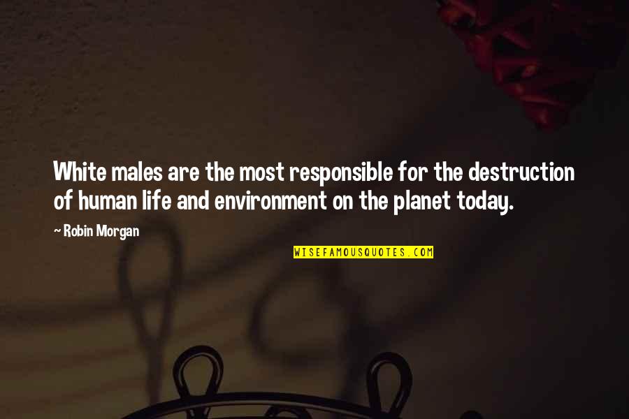 Destruction Of Environment Quotes By Robin Morgan: White males are the most responsible for the