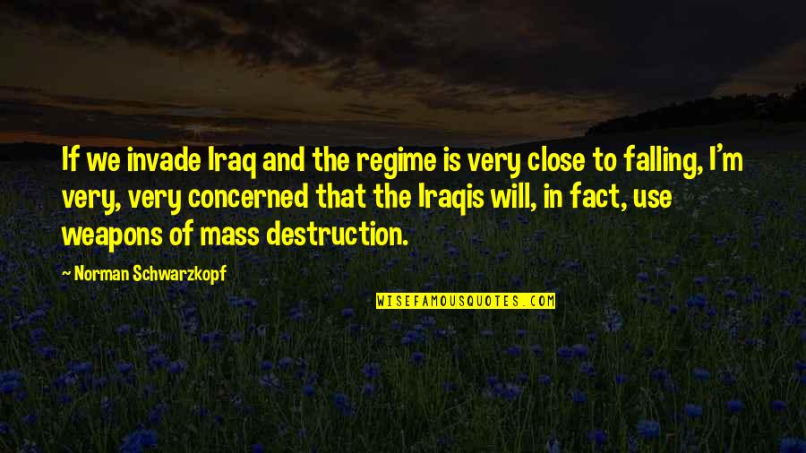 Destruction Of Quotes By Norman Schwarzkopf: If we invade Iraq and the regime is