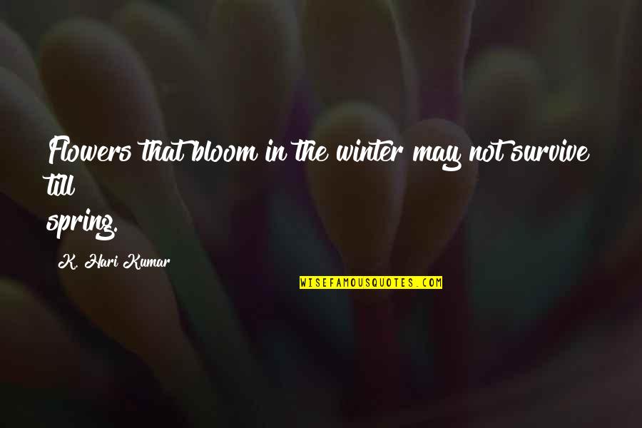 Destruction Of The Conch Quotes By K. Hari Kumar: Flowers that bloom in the winter may not