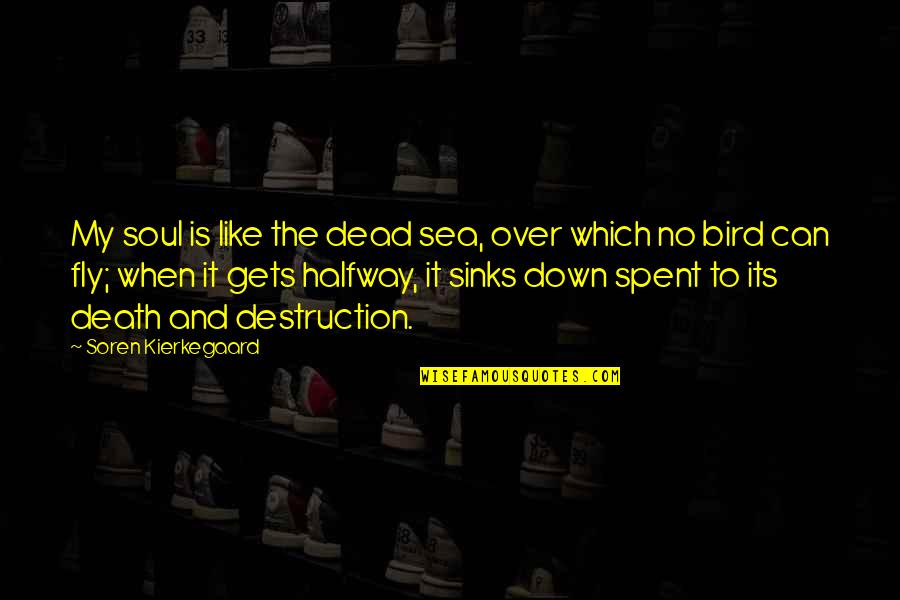 Destruction Of The Soul Quotes By Soren Kierkegaard: My soul is like the dead sea, over