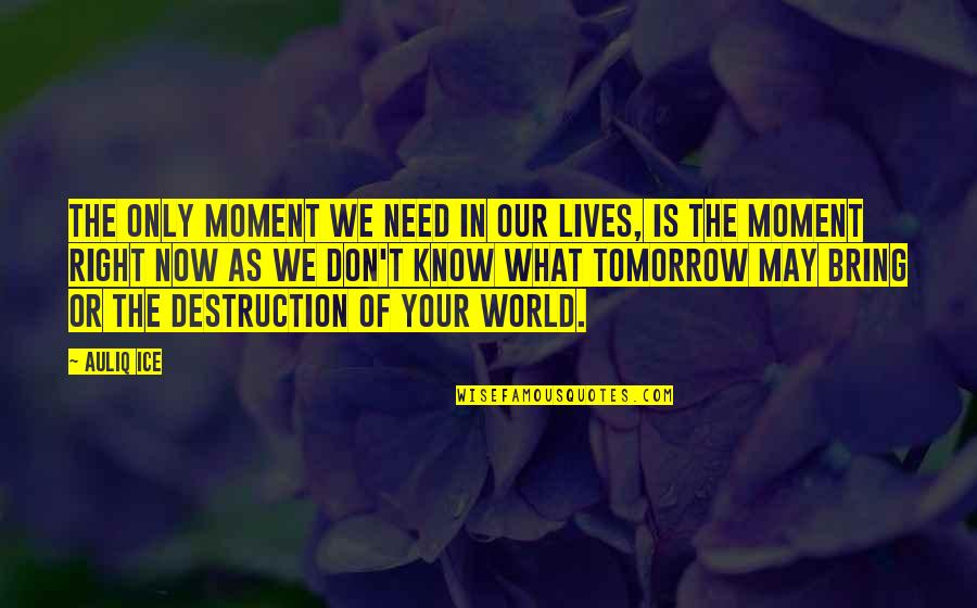 Destruction Quotes And Quotes By Auliq Ice: The only moment we need in our lives,