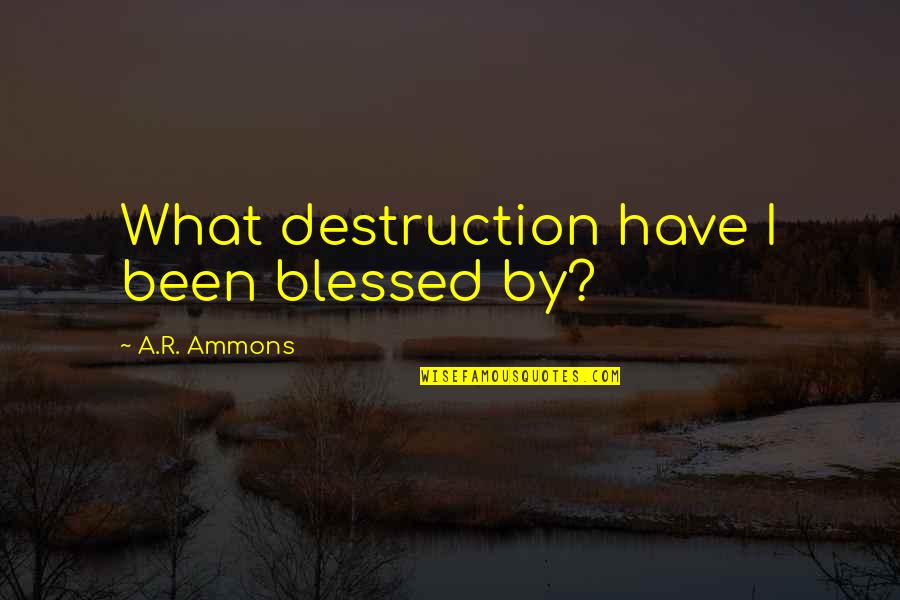 Destruction Quotes By A.R. Ammons: What destruction have I been blessed by?
