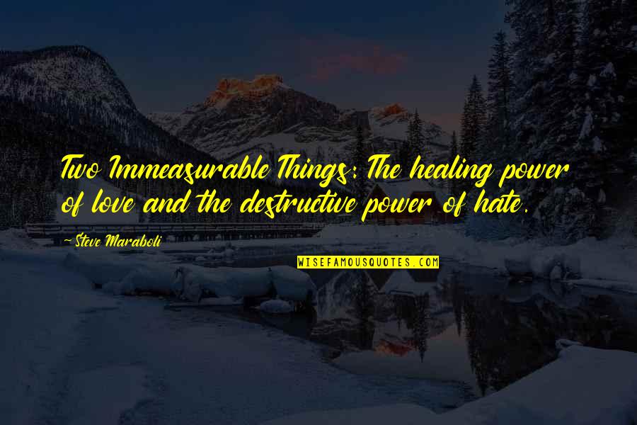 Destructive Power Quotes By Steve Maraboli: Two Immeasurable Things: The healing power of love