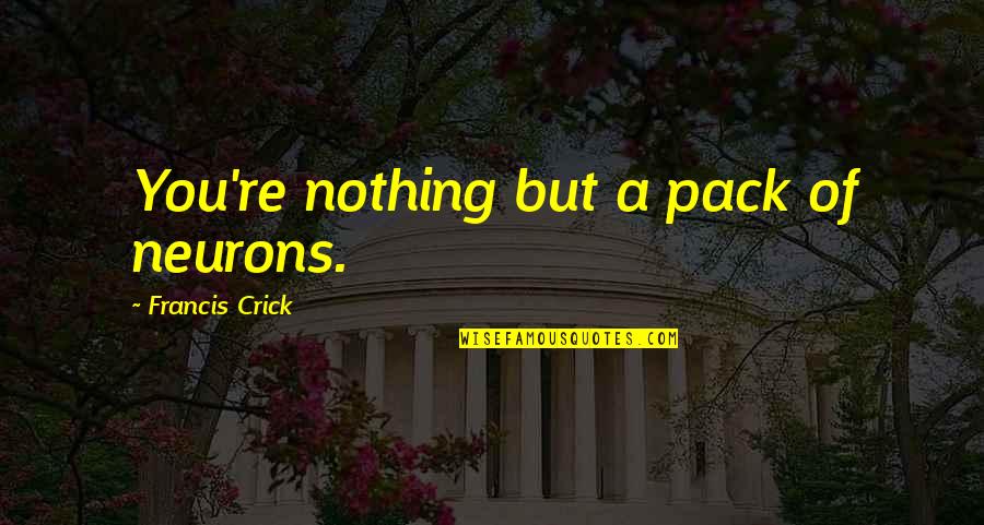 Destructively Quotes By Francis Crick: You're nothing but a pack of neurons.