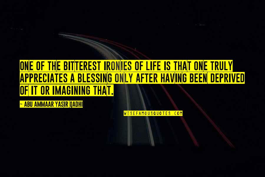 Destry Haught Quotes By Abu Ammaar Yasir Qadhi: One of the bitterest ironies of life is Destry Haught Quotes By Abu Ammaar Yasir Qadhi: One of the bitterest ironies of life is