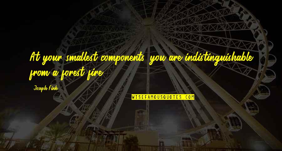 Details What Happened Quotes By Joseph Fink: At your smallest components, you are indistinguishable from