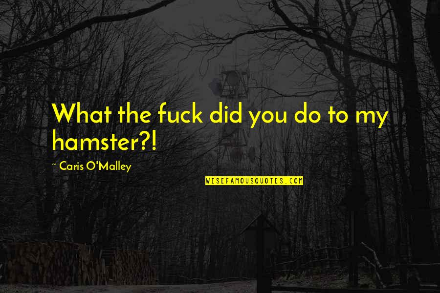 Detalles In English Quotes By Caris O'Malley: What the fuck did you do to my Detalles In English Quotes By Caris O'Malley: What the fuck did you do to my