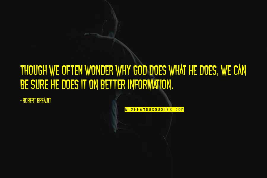 Detatched Quotes By Robert Breault: Though we often wonder why God does what Detatched Quotes By Robert Breault: Though we often wonder why God does what