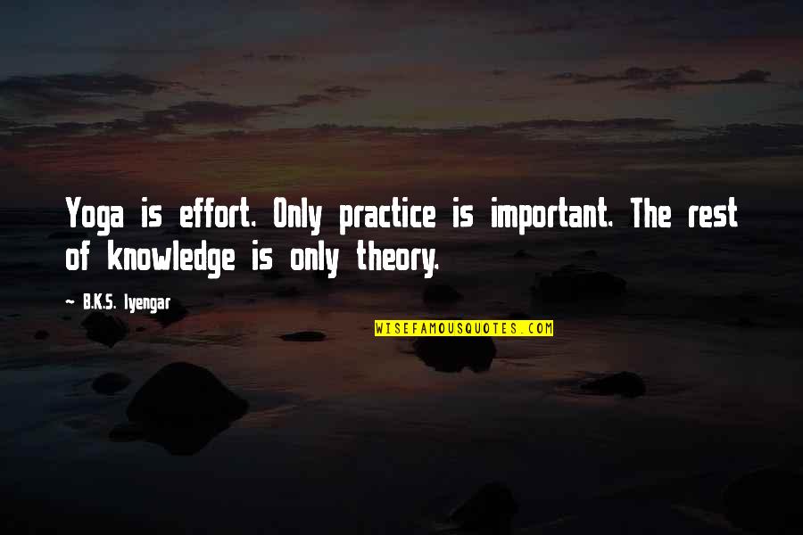 Detective Fowler Quotes By B.K.S. Iyengar: Yoga is effort. Only practice is important. The