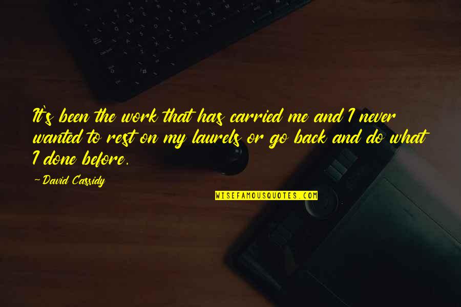 Detencion De Inmigracion Quotes By David Cassidy: It's been the work that has carried me Detencion De Inmigracion Quotes By David Cassidy: It's been the work that has carried me