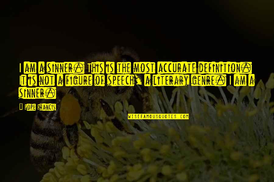 Detencion De Inmigracion Quotes By Pope Francis: I am a sinner. This is the most Detencion De Inmigracion Quotes By Pope Francis: I am a sinner. This is the most