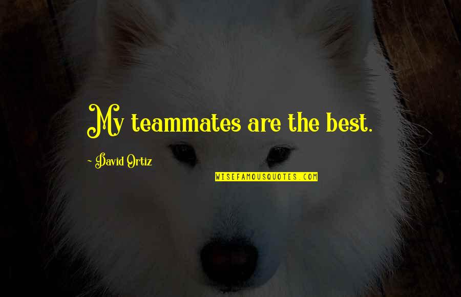 Detering Building Quotes By David Ortiz: My teammates are the best. Detering Building Quotes By David Ortiz: My teammates are the best.