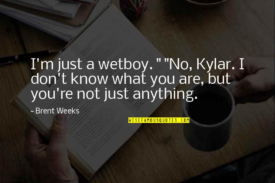 Determinant Quotes By Brent Weeks: I'm just a wetboy. " "No, Kylar. I