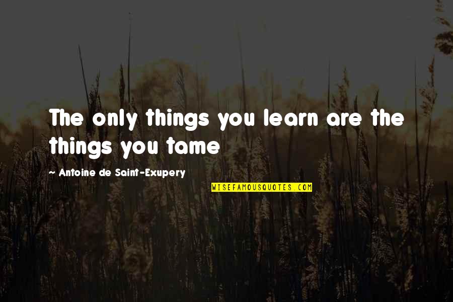 Determination And Persistence Quotes By Antoine De Saint-Exupery: The only things you learn are the things