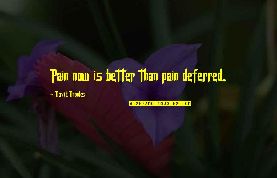 Determination Equals Success Quotes By David Brooks: Pain now is better than pain deferred.