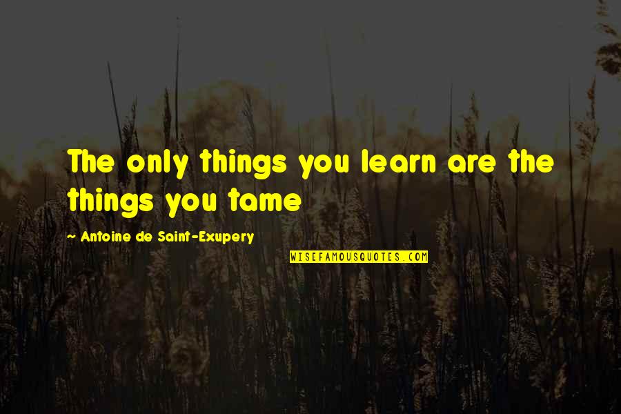 Determination In Education Quotes By Antoine De Saint-Exupery: The only things you learn are the things Determination In Education Quotes By Antoine De Saint-Exupery: The only things you learn are the things