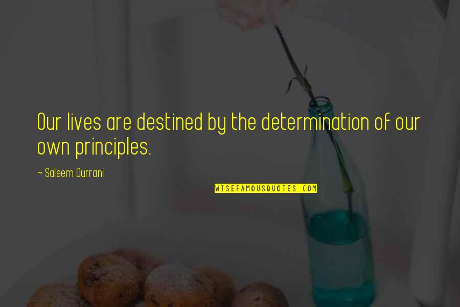 Determination Quotes By Saleem Durrani: Our lives are destined by the determination of