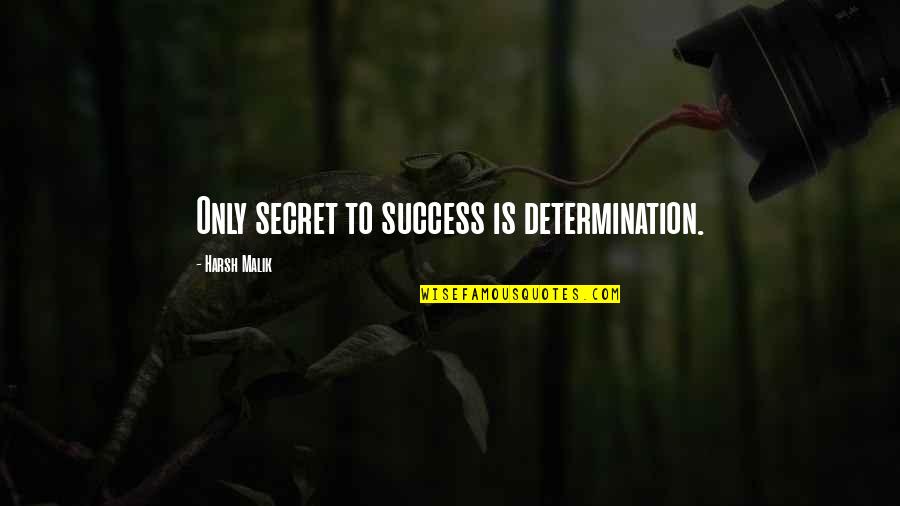 Determination To Success Quotes By Harsh Malik: Only secret to success is determination.