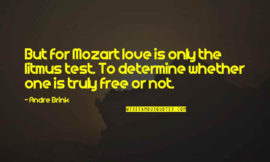 Determine Love Quotes By Andre Brink: But for Mozart love is only the litmus