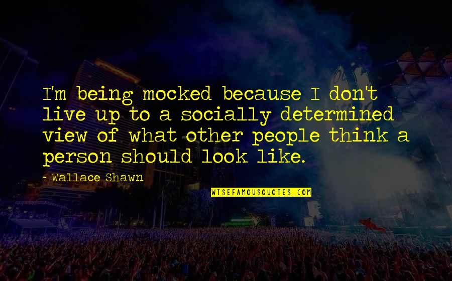 Determined People Quotes By Wallace Shawn: I'm being mocked because I don't live up