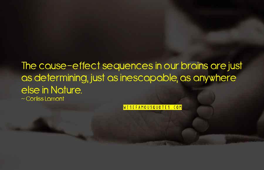 Determinism Quotes By Corliss Lamont: The cause-effect sequences in our brains are just