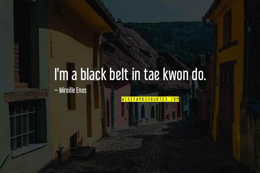 Determinismo Geografico Quotes By Mireille Enos: I'm a black belt in tae kwon do.