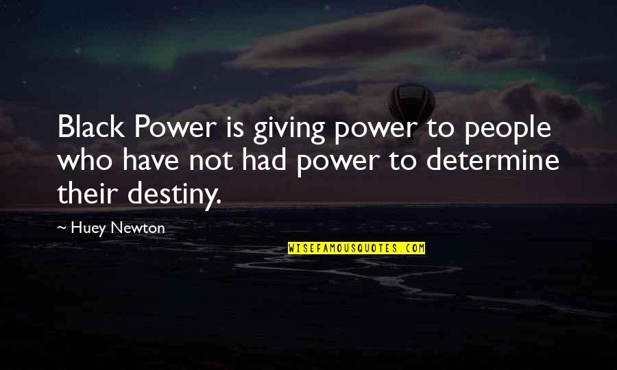 Dethatchers Quotes By Huey Newton: Black Power is giving power to people who