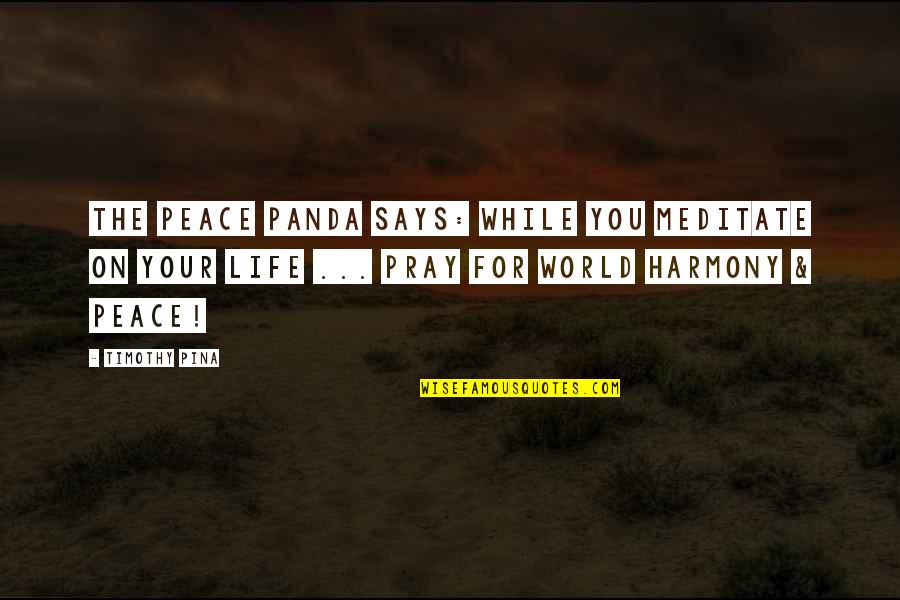 Detour 1945 Quotes By Timothy Pina: The Peace Panda Says: While you meditate on