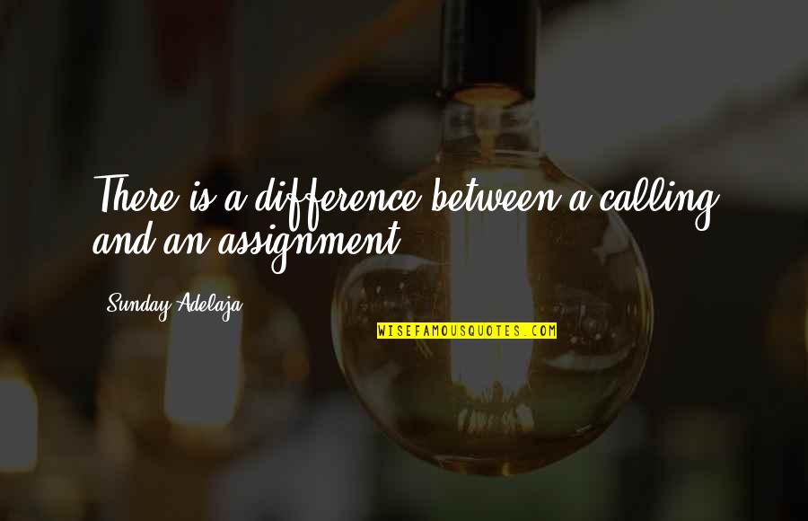 Detoxed Intestine Quotes By Sunday Adelaja: There is a difference between a calling and