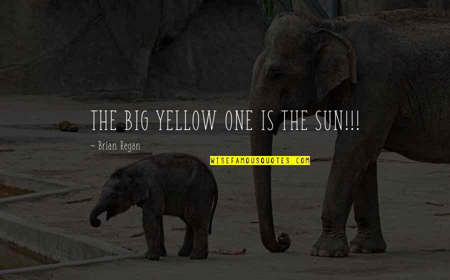 Detoxification Quotes By Brian Regan: THE BIG YELLOW ONE IS THE SUN!!!