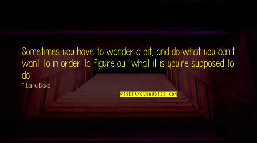 Detrimento Sinonimo Quotes By Larry David: Sometimes you have to wander a bit, and Detrimento Sinonimo Quotes By Larry David: Sometimes you have to wander a bit, and