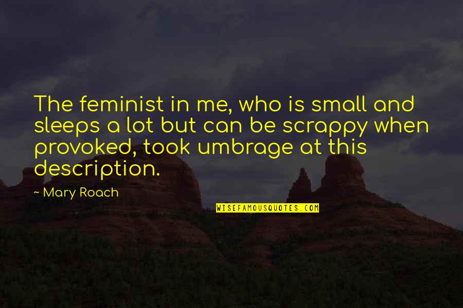 Detti Originals Quotes By Mary Roach: The feminist in me, who is small and