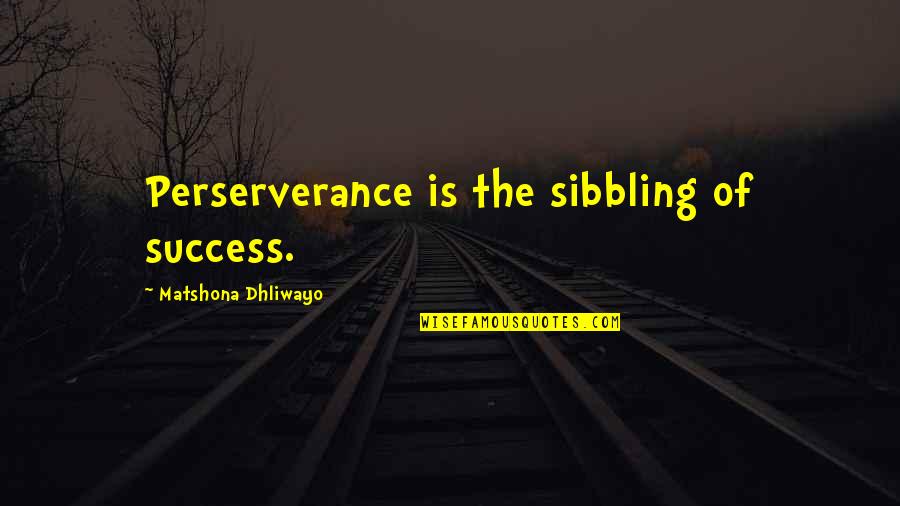Deum Quotes By Matshona Dhliwayo: Perserverance is the sibbling of success.