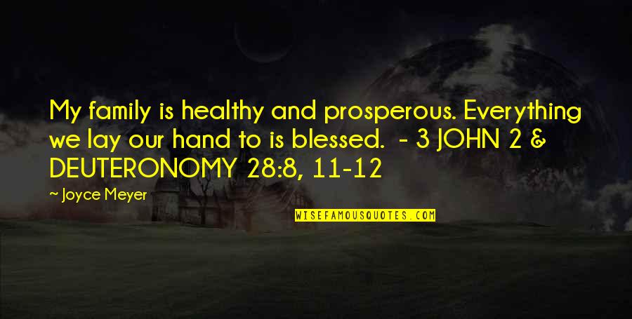 Deuteronomy 28 Quotes By Joyce Meyer: My family is healthy and prosperous. Everything we
