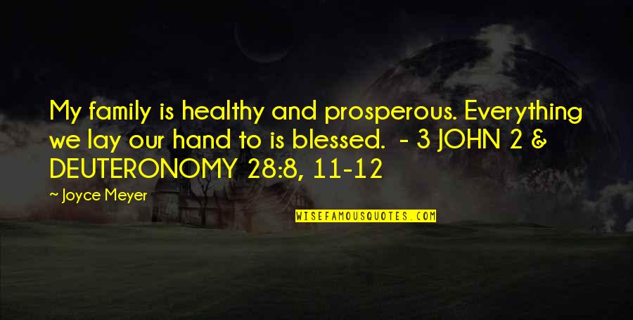 Deuteronomy Quotes By Joyce Meyer: My family is healthy and prosperous. Everything we