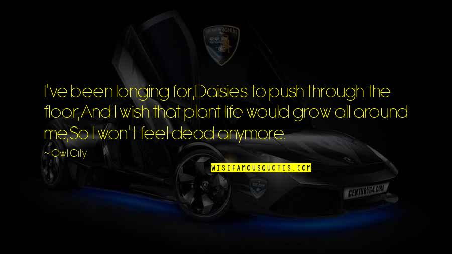 Deutlich Jelent Se Quotes By Owl City: I've been longing for,Daisies to push through the Deutlich Jelent Se Quotes By Owl City: I've been longing for,Daisies to push through the