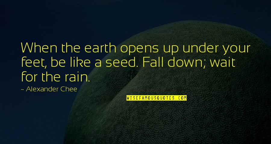 Deutschritter Quotes By Alexander Chee: When the earth opens up under your feet,