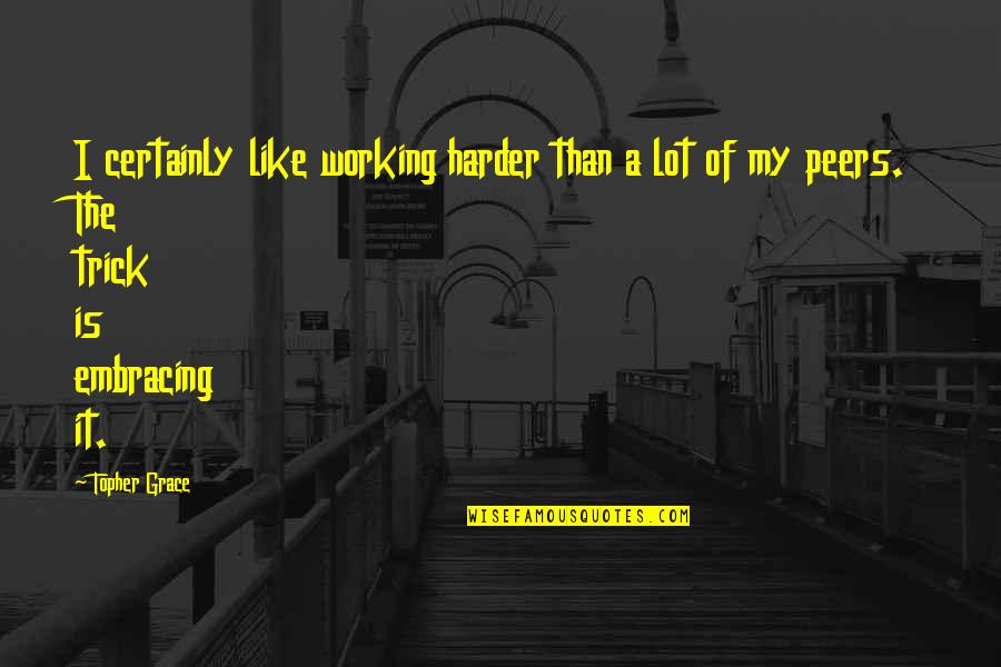 Deva Pain Quotes By Topher Grace: I certainly like working harder than a lot