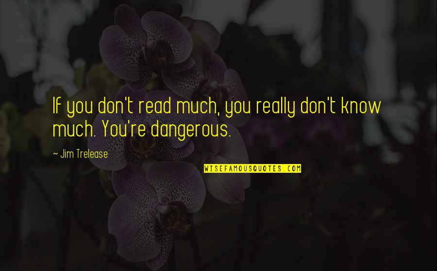 Devasso Wine Quotes By Jim Trelease: If you don't read much, you really don't
