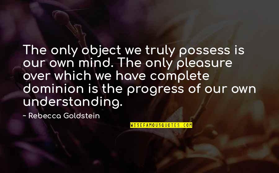 Devastator Aircraft Quotes By Rebecca Goldstein: The only object we truly possess is our Devastator Aircraft Quotes By Rebecca Goldstein: The only object we truly possess is our