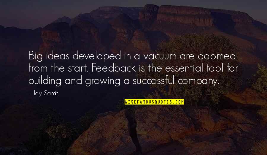 Developed Quotes By Jay Samit: Big ideas developed in a vacuum are doomed Developed Quotes By Jay Samit: Big ideas developed in a vacuum are doomed