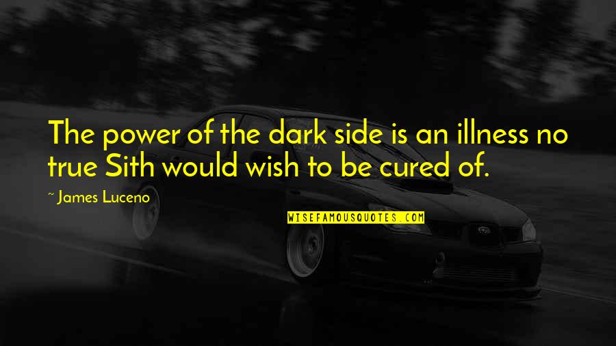 Developing Love For Learning Quotes By James Luceno: The power of the dark side is an