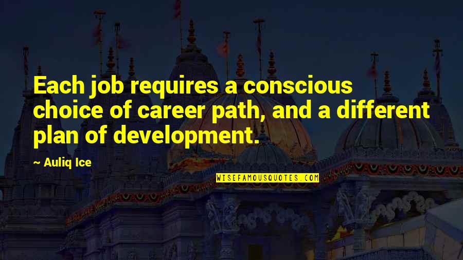 Development And Change Quotes By Auliq Ice: Each job requires a conscious choice of career