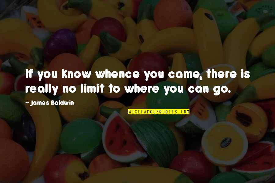 Development Of Knowledge Quotes By James Baldwin: If you know whence you came, there is