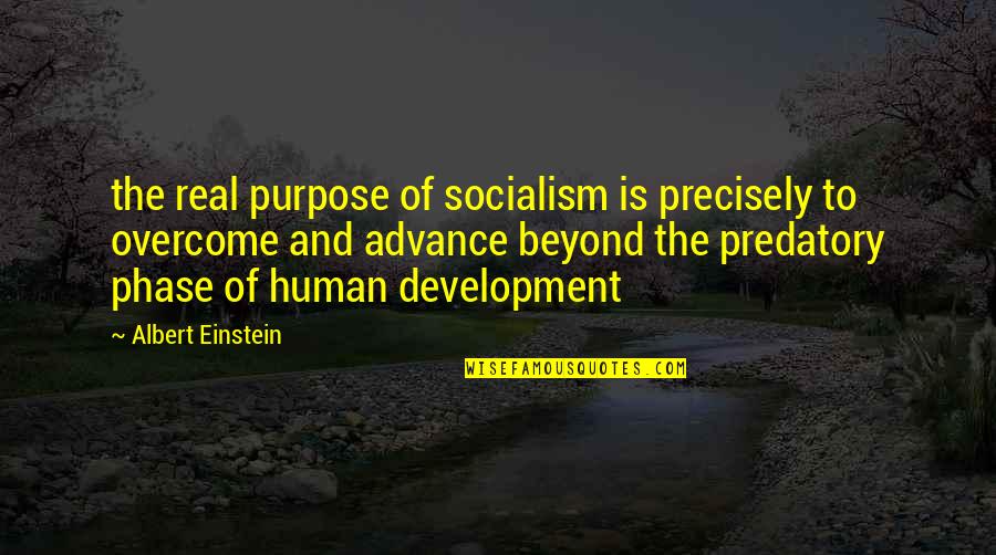 Development Of Society Quotes By Albert Einstein: the real purpose of socialism is precisely to