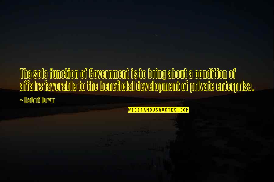 Development The Quotes By Herbert Hoover: The sole function of Government is to bring