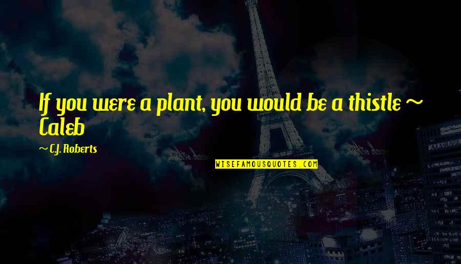 Deviantart Quotes By C.J. Roberts: If you were a plant, you would be