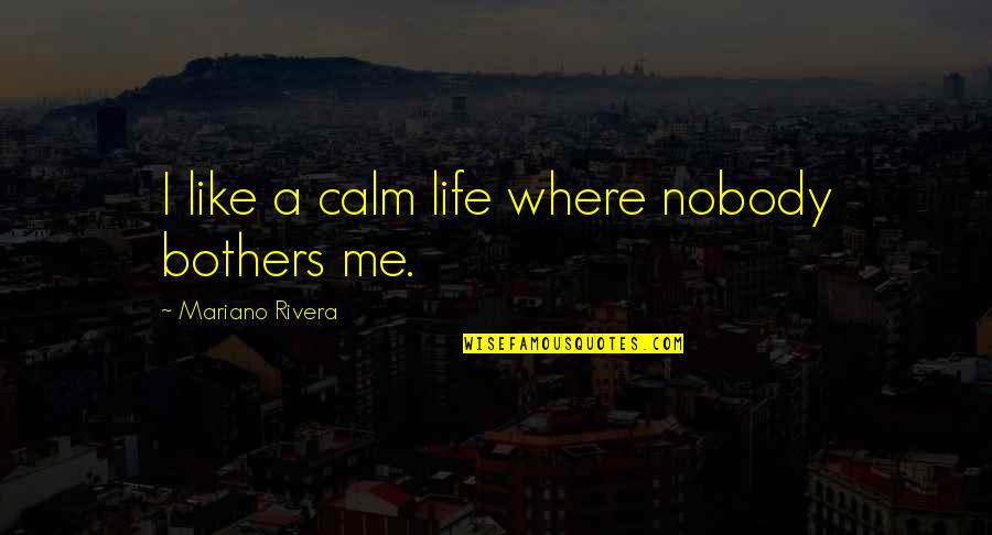Devil Ether Quotes By Mariano Rivera: I like a calm life where nobody bothers