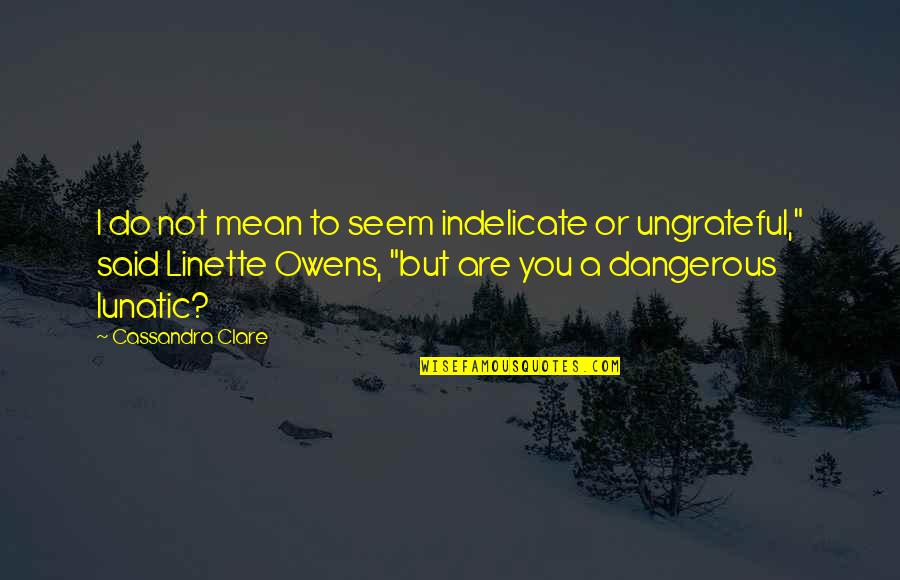 Devil May Cry Inspirational Quotes By Cassandra Clare: I do not mean to seem indelicate or Devil May Cry Inspirational Quotes By Cassandra Clare: I do not mean to seem indelicate or