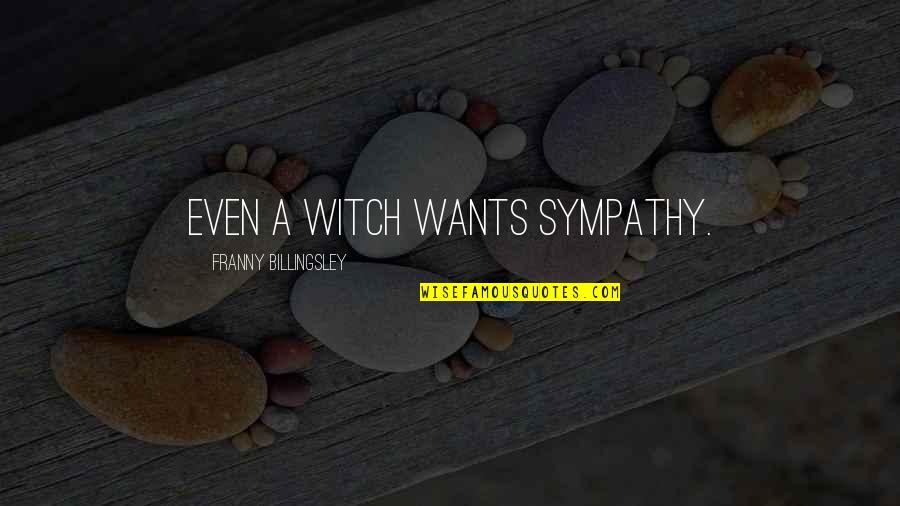 Devised Unscramble Quotes By Franny Billingsley: Even a witch wants sympathy.